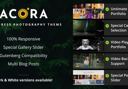 Acora - Photography WordPress Theme  v.3.0